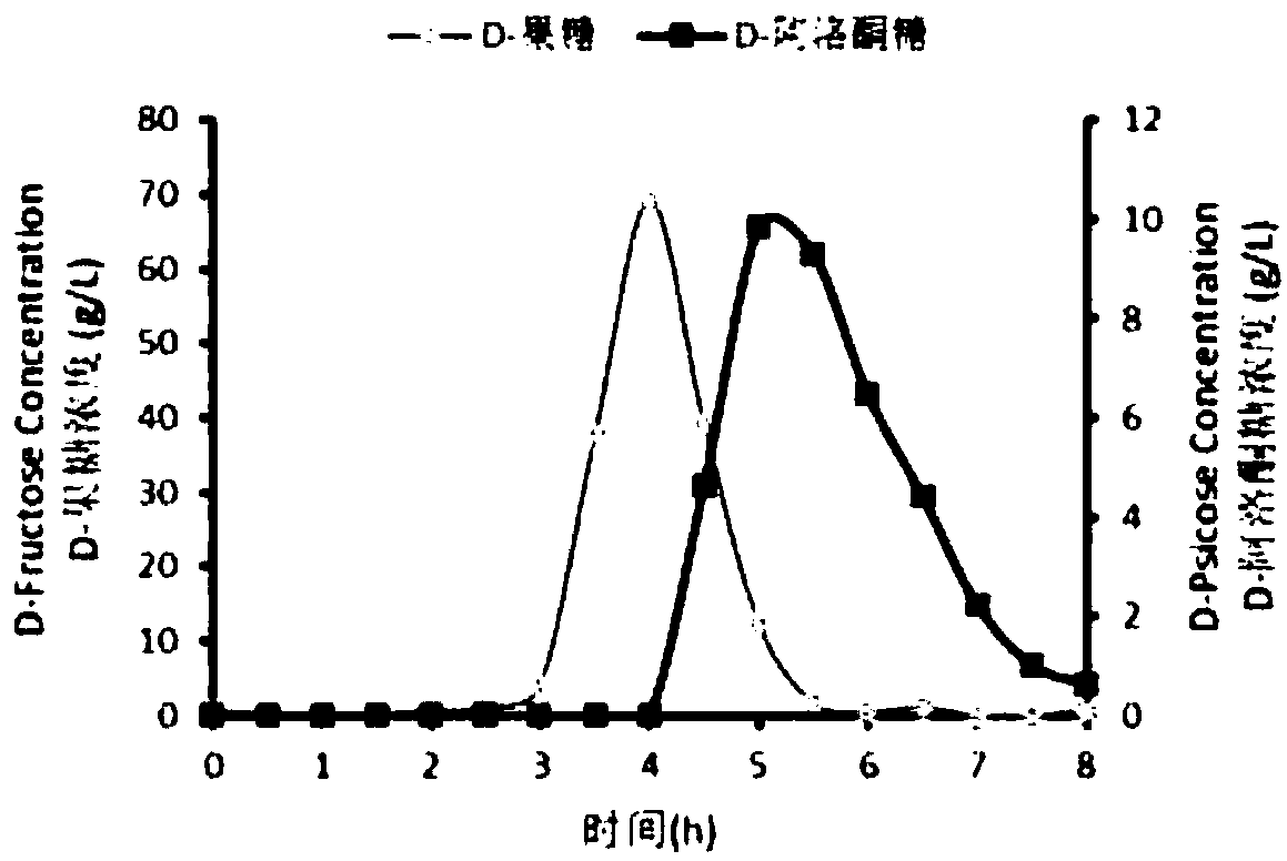 Method of separating D-fructose and D-psicose by using simulated moving bed