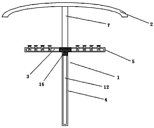 Grape trellis with watering function