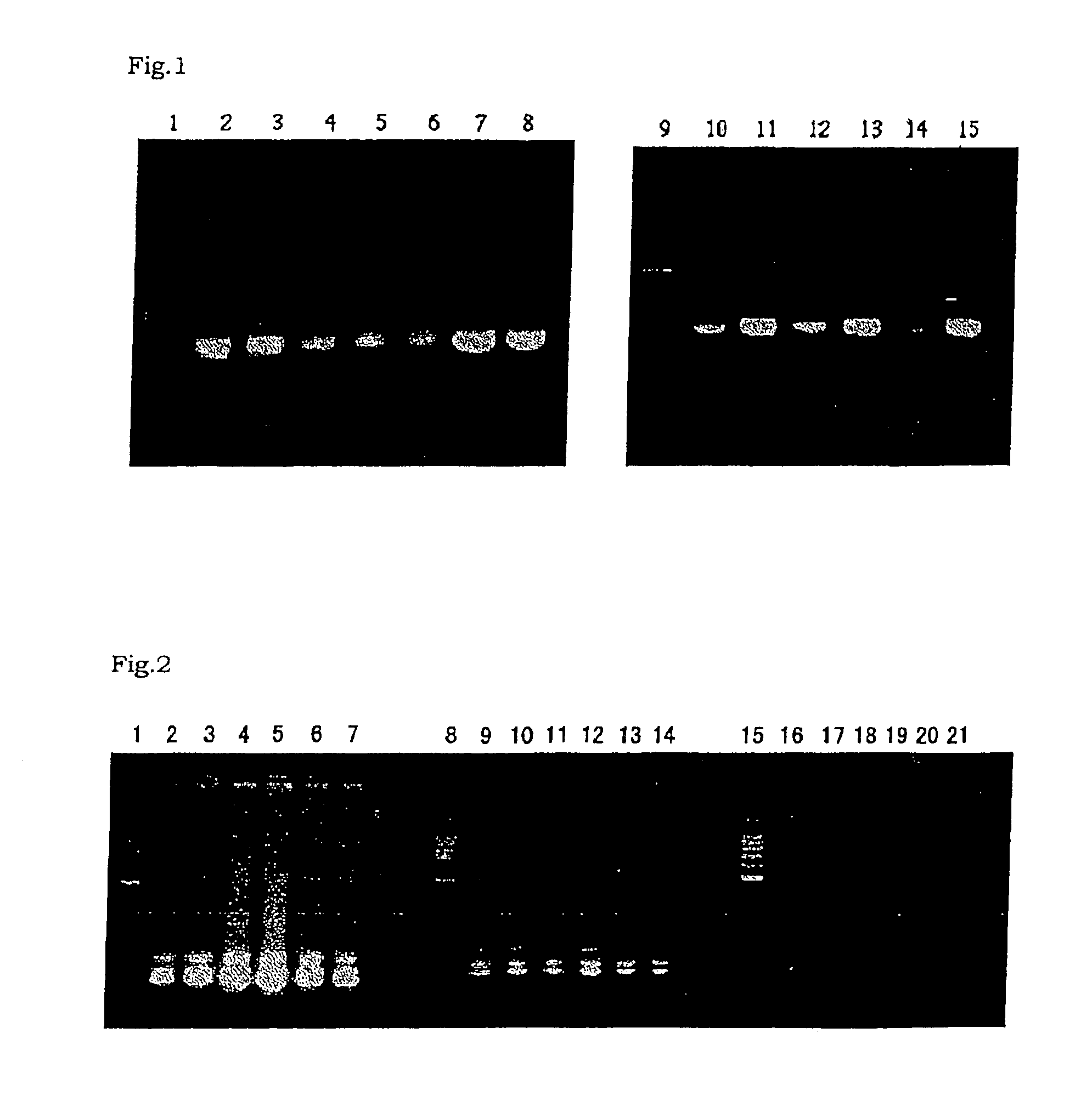 Method for amplifying nucleic acid sequence