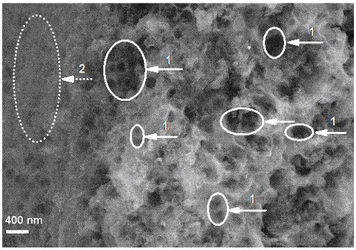 Preparation method of fluffy porous nitrogen-doped oxygen reduction catalyst