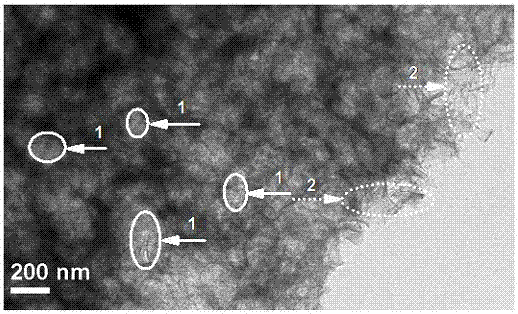 Preparation method of fluffy porous nitrogen-doped oxygen reduction catalyst