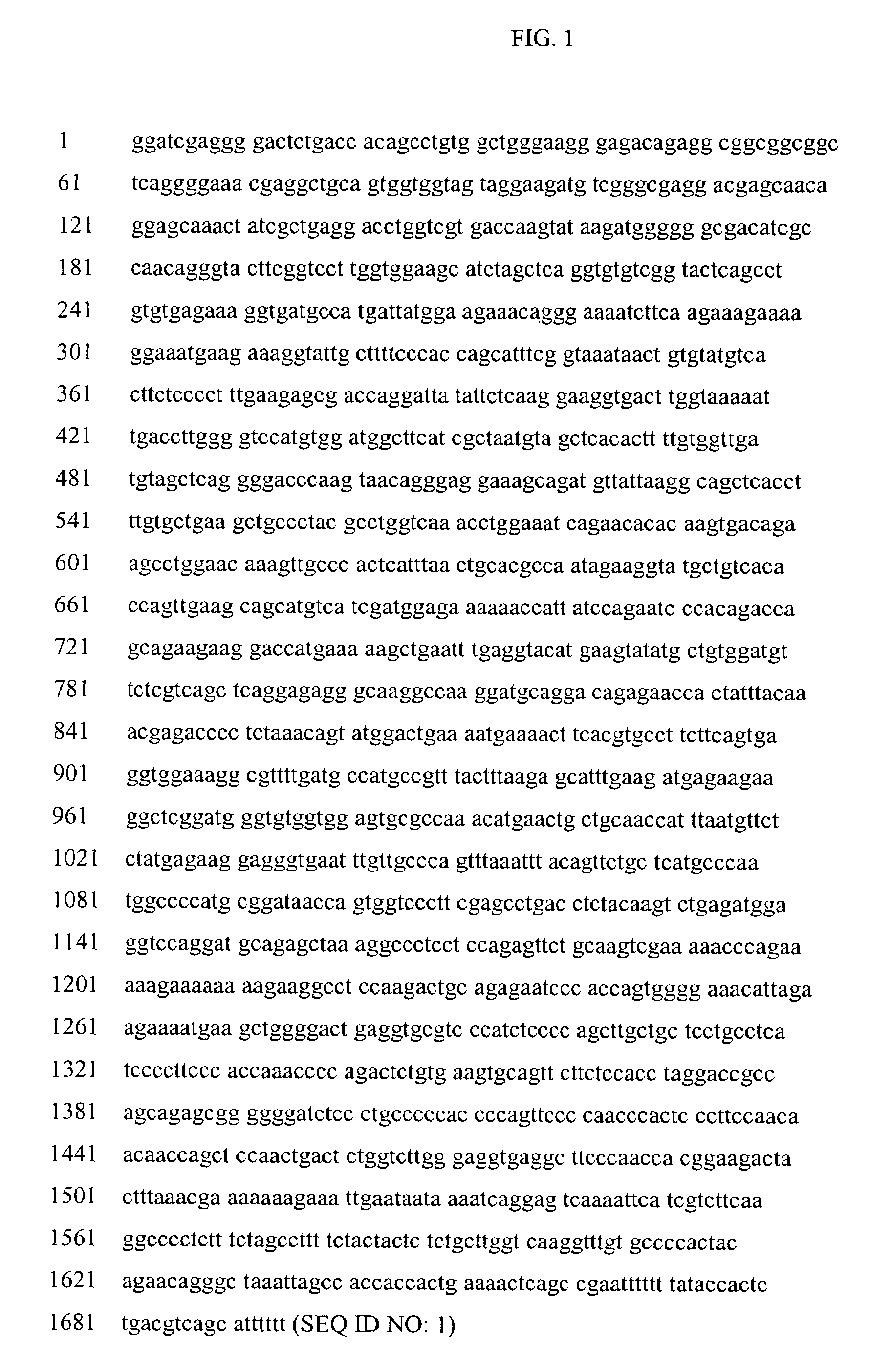 ErbB3 binding protein compositions and methods of use