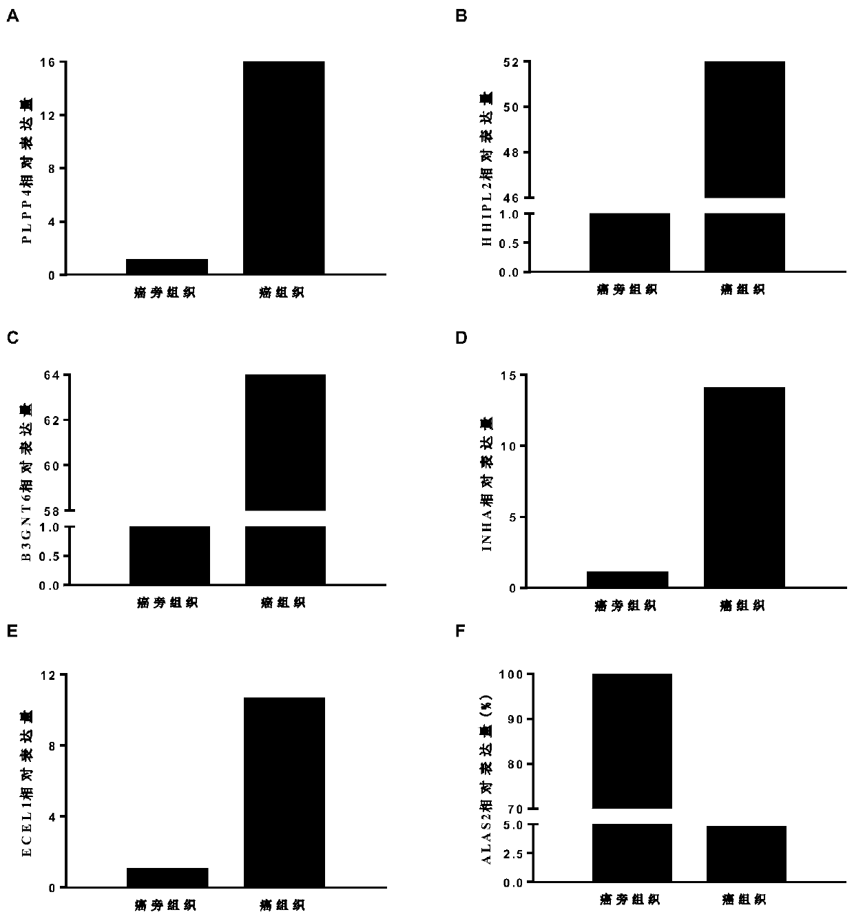 Lung adenocarcinoma diagnostic composition and application thereof