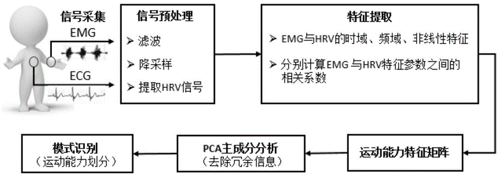 Discrimination method of human movement ability based on joint analysis of neurophysiological signals