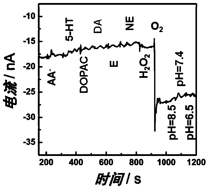 Microelectrode, probe containing microelectrode, and use thereof in measurement of oxygen content in brain