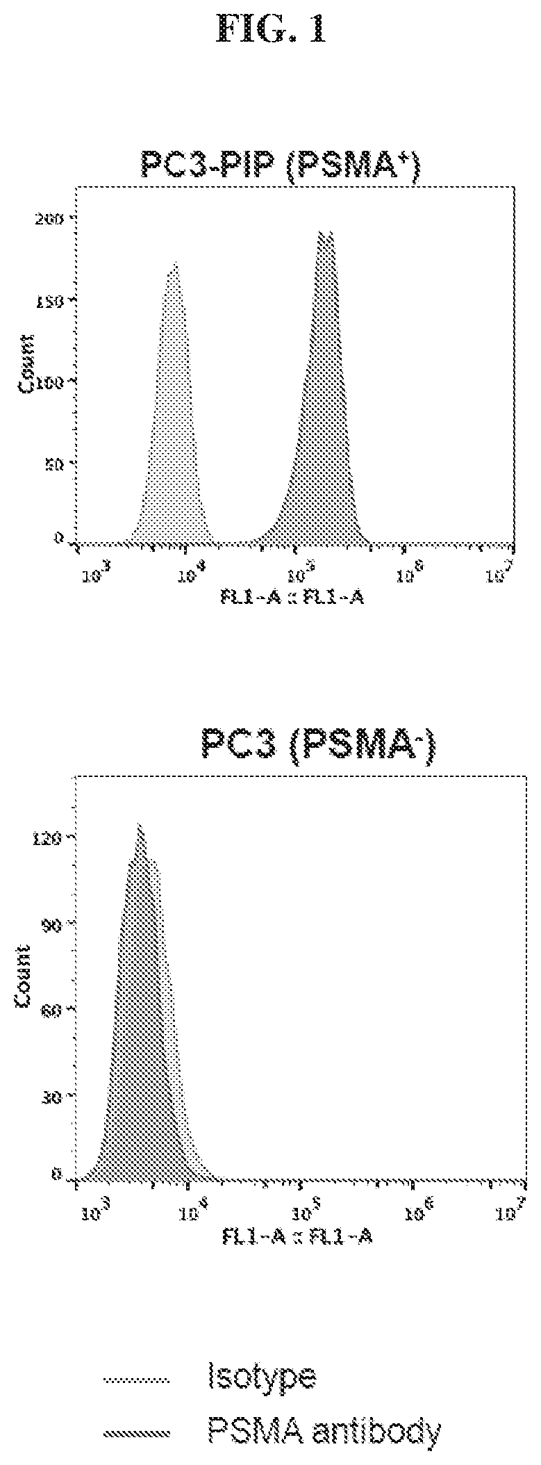 Chemical conjugates of evans blue derivatives and their use as radiotherapy and imaging agents for targeting prostate cancer