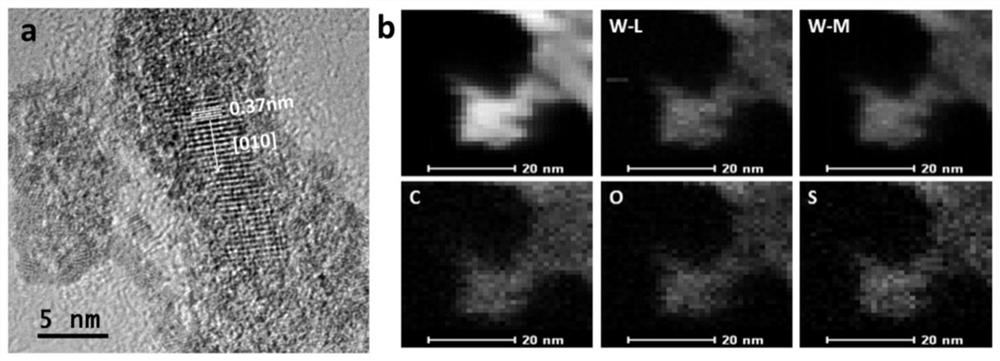 A poly-3,4-ethylenedioxythiophene-coated tungsten oxide nanorod, its preparation method and its application