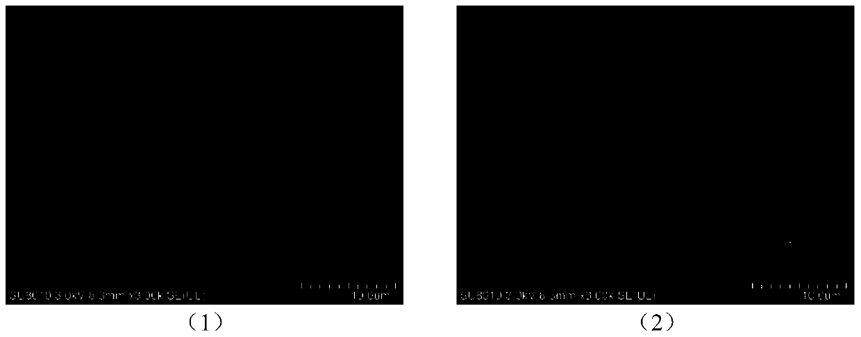 Preparation method of purple cabbage anthocyanin-nano chitin gelatin composite film, and product and application thereof