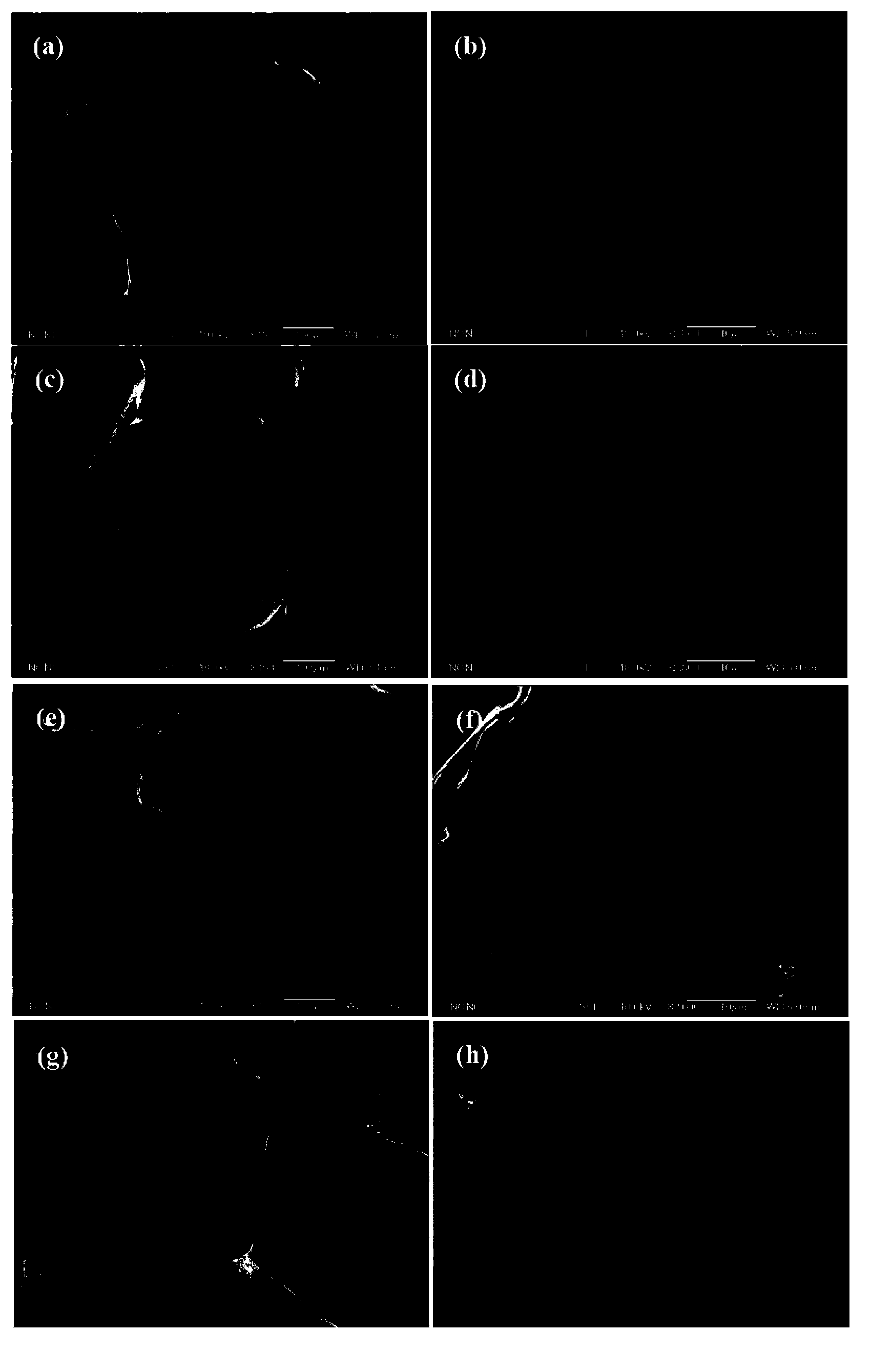 Novel multifunctional mesoporous glass bracket with biological activity as well as preparation method and purpose thereof