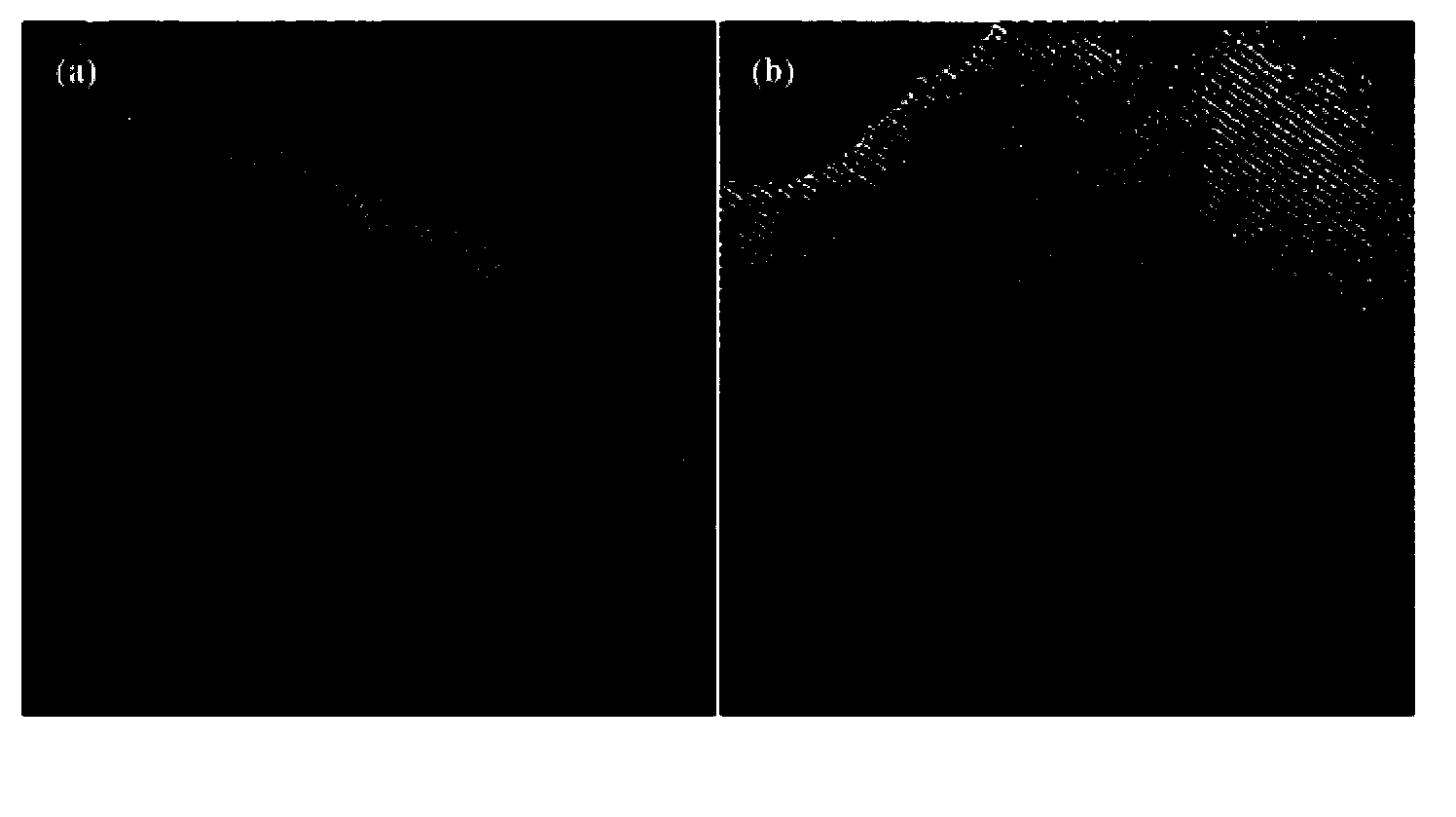 Novel multifunctional mesoporous glass bracket with biological activity as well as preparation method and purpose thereof