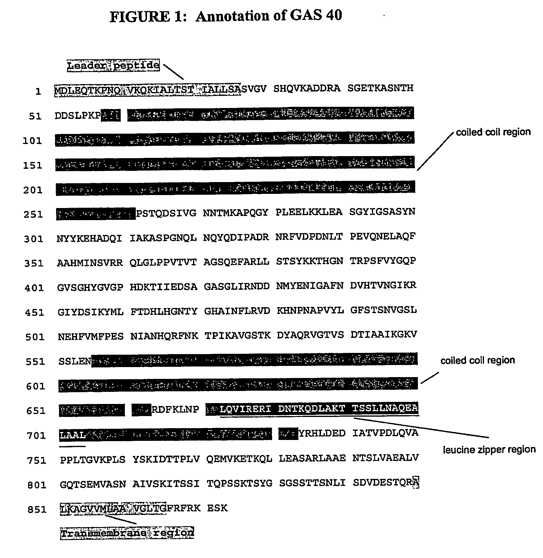 Immunogenic compositions for streptococcus pyogenes