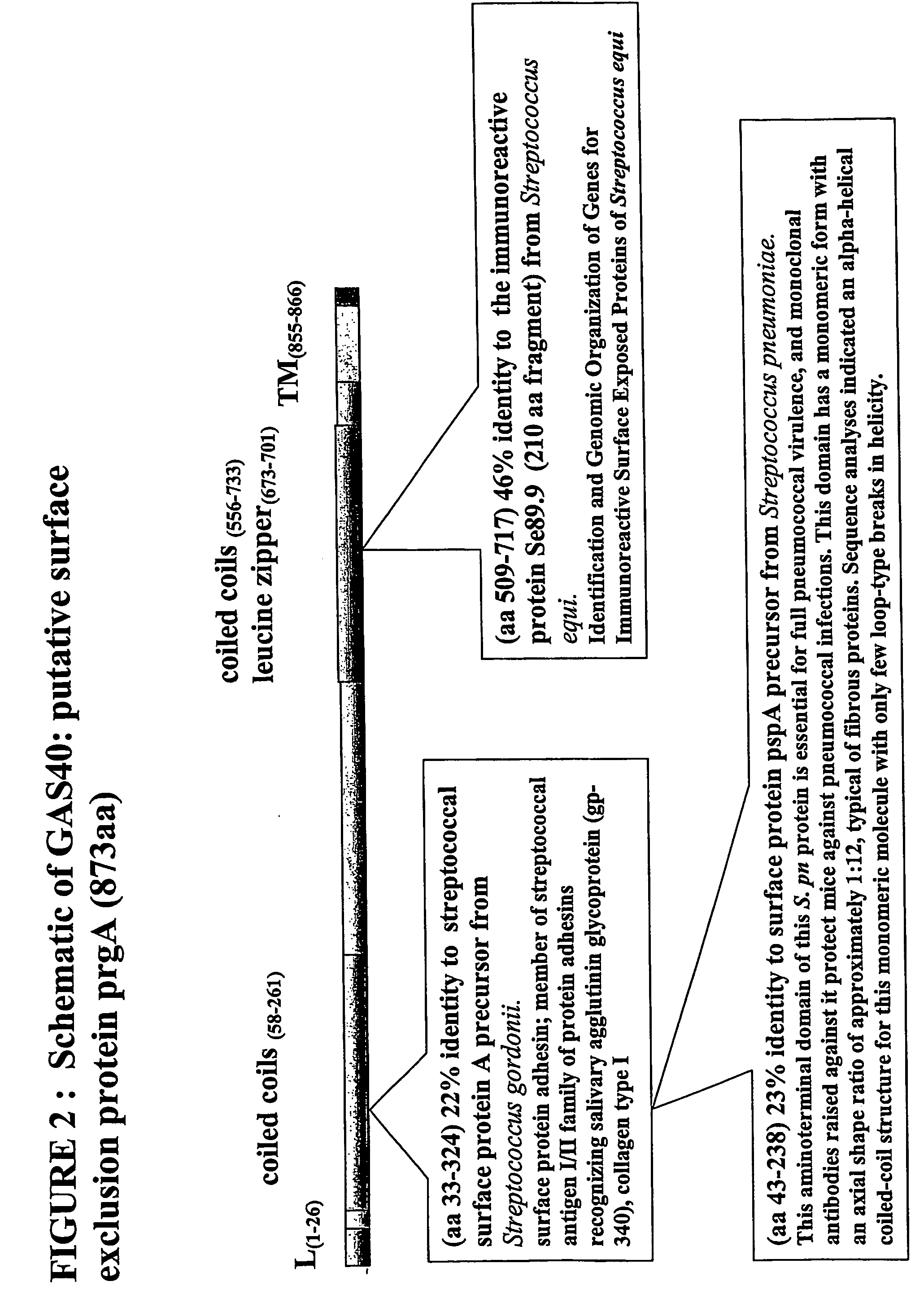 Immunogenic compositions for streptococcus pyogenes