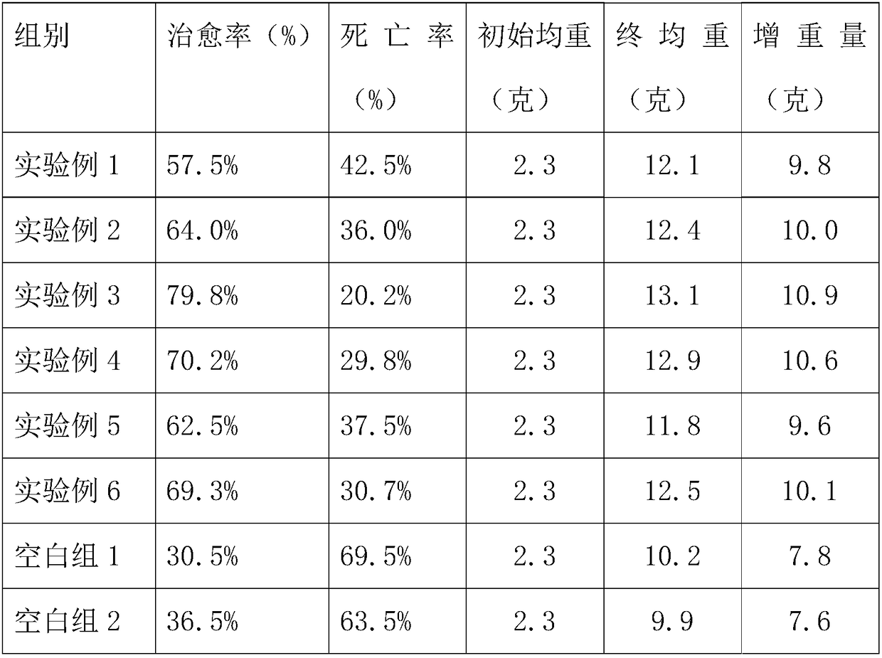 Rainbow trout feed additive with effects of preventing and controlling diseases and promoting growth, and preparation method and application thereof