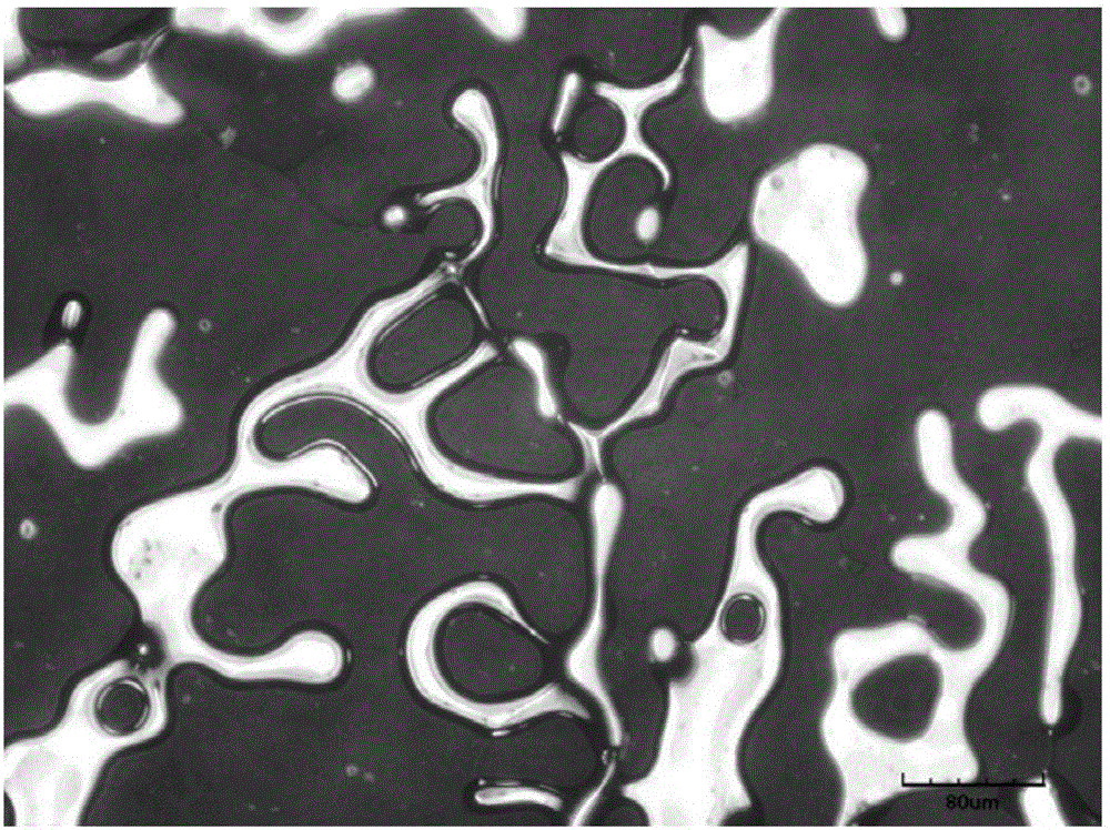 Porous B4C ceramic skeleton and freeze-casting process thereof