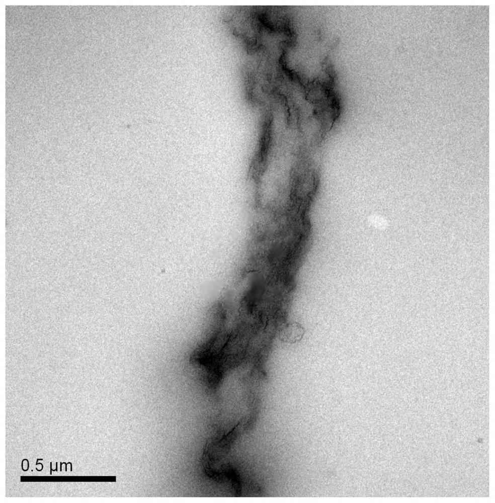 A catalyst-loaded graphene-modified polyester chip and preparation method thereof