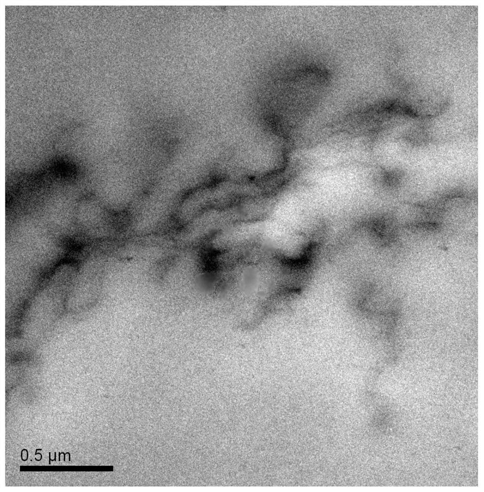 A catalyst-loaded graphene-modified polyester chip and preparation method thereof