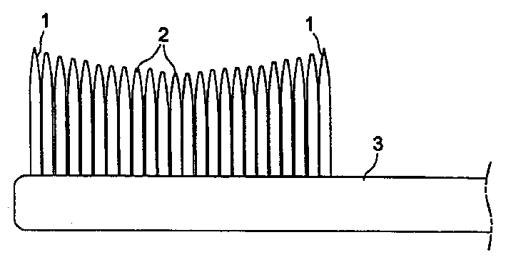 Tooth brush having both soft bristle and hard bristle