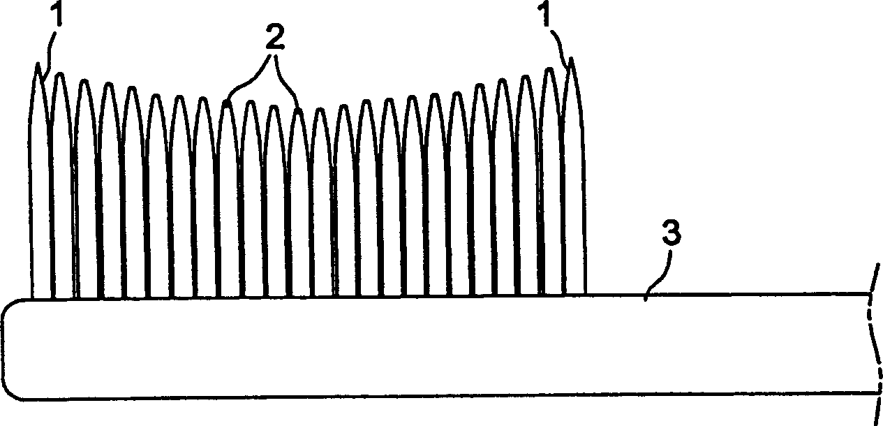 Tooth brush having both soft bristle and hard bristle