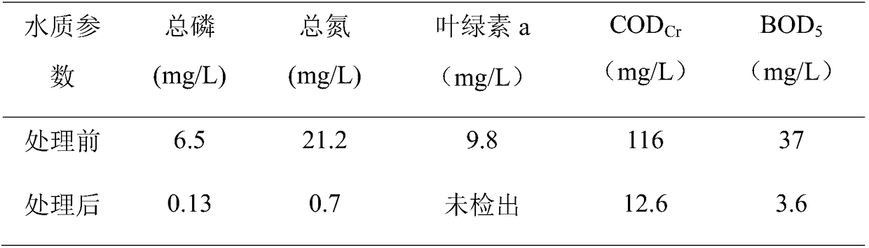 Photovoltaic driving electrochemical treatment system, treatment method thereof and application of system