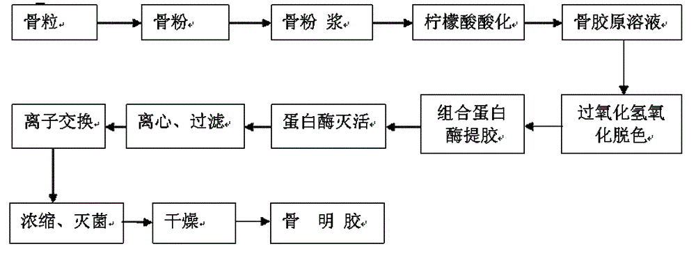 Enzymatic method for preparing bone gelatin