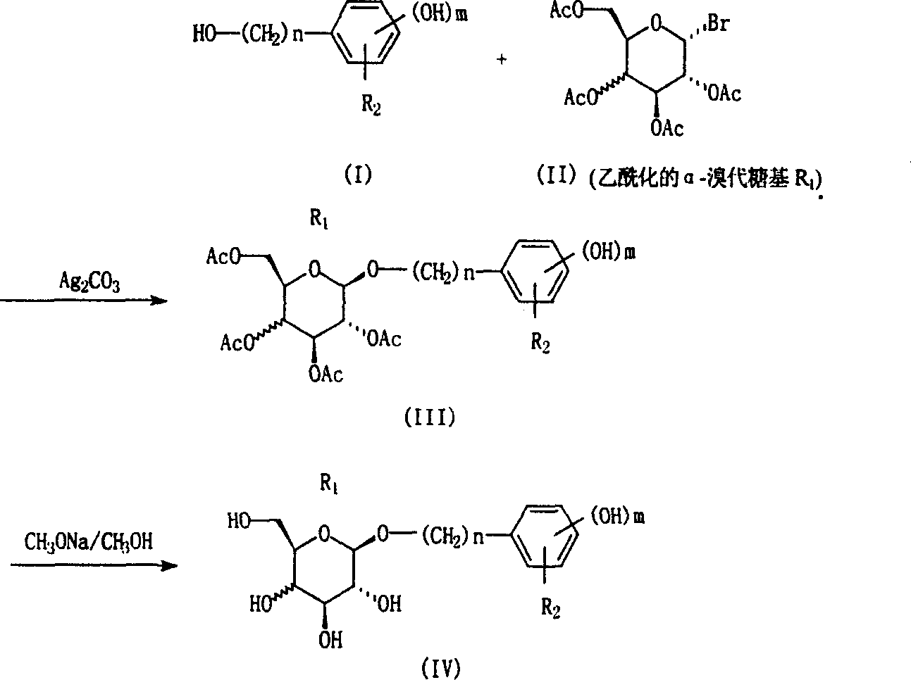 Rhodiola sacra glycoside derivative and its preparation method and use