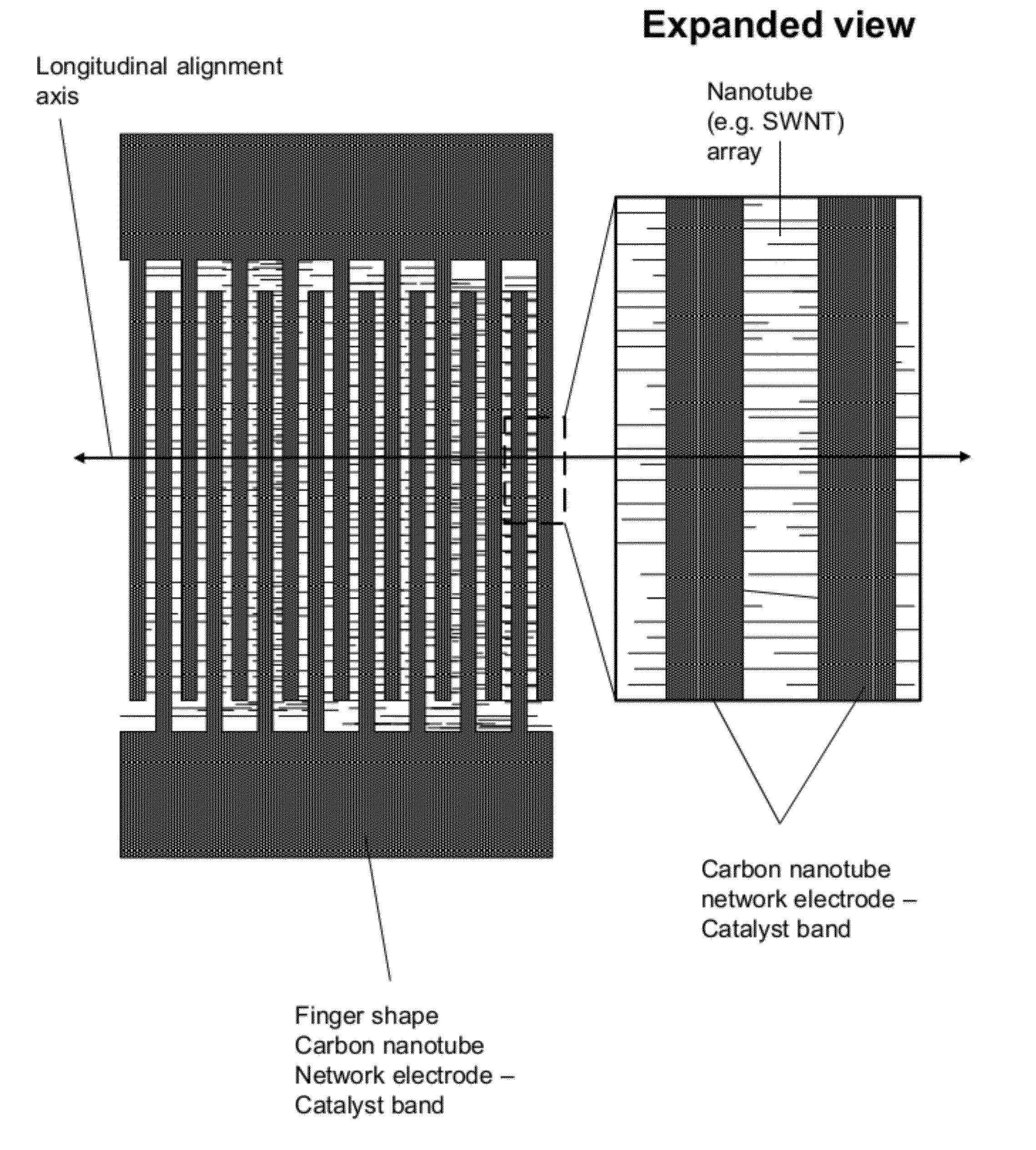 Methods of Making Spatially Aligned Nanotubes and Nanotube Arrays