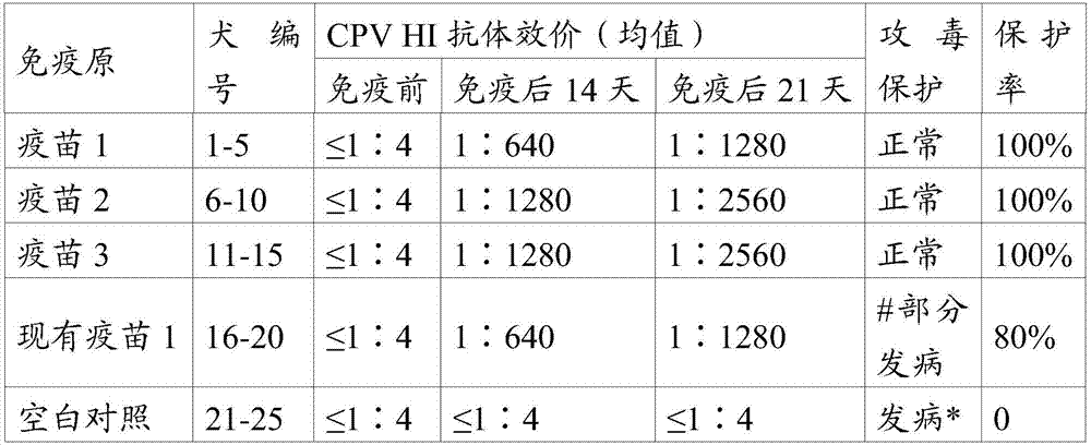 A vaccine composition, a kit and applications of the composition and the kit