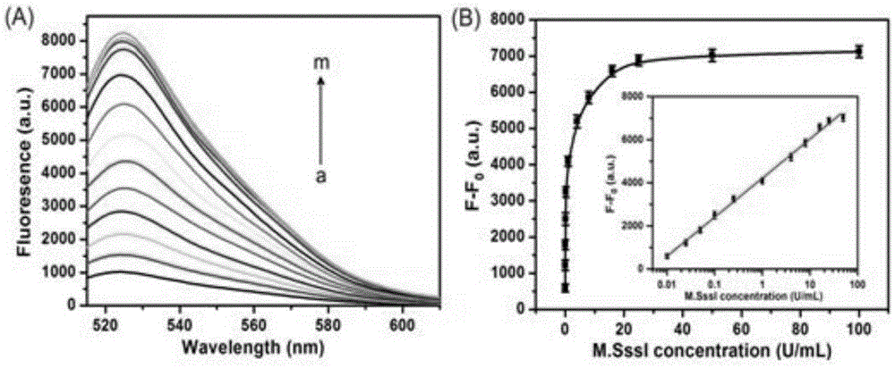 Cascade rolling-ring amplification strategy mediated with dumbbell molecular probe under protection of target object and applied to sensitiveness detection of DNA transmethylase activity