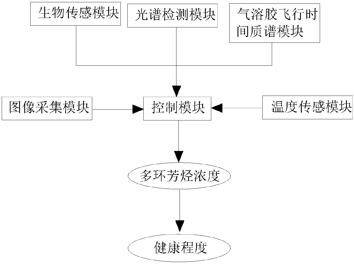 Range hood with function of detecting polycyclic aromatic hydrocarbon in oil fume