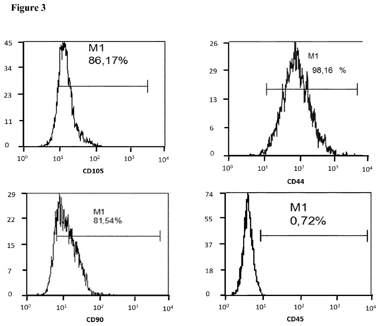 Mammalian muscle-derived stem cells