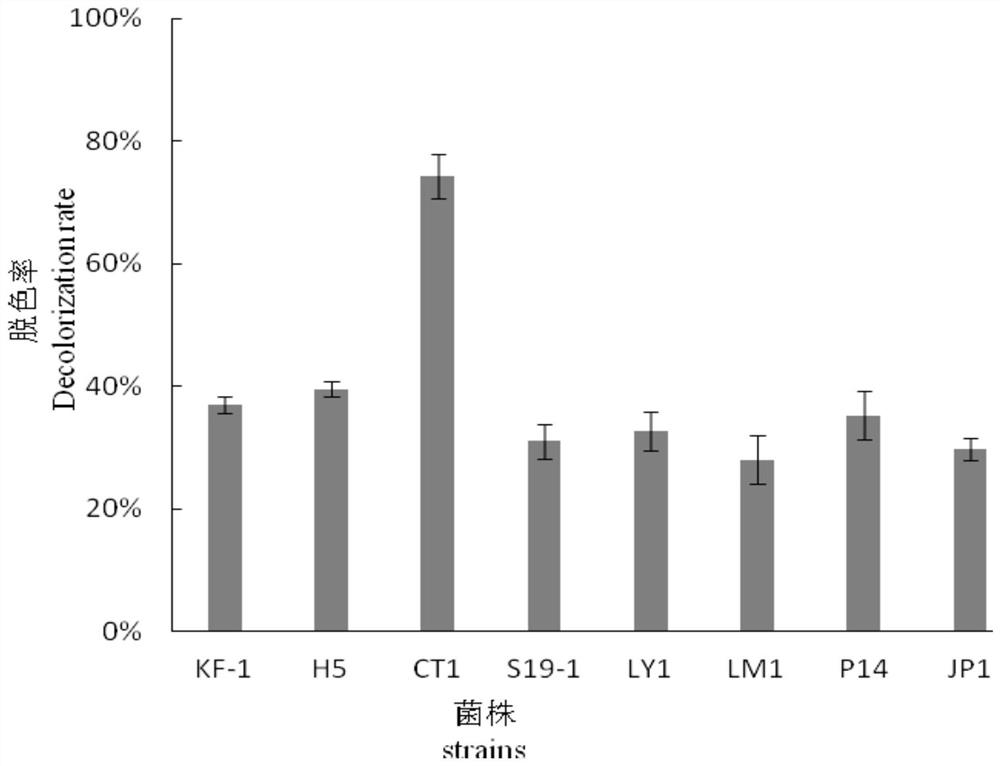 Microbial method capable of efficiently decolorizing gentian violet in dye wastewater