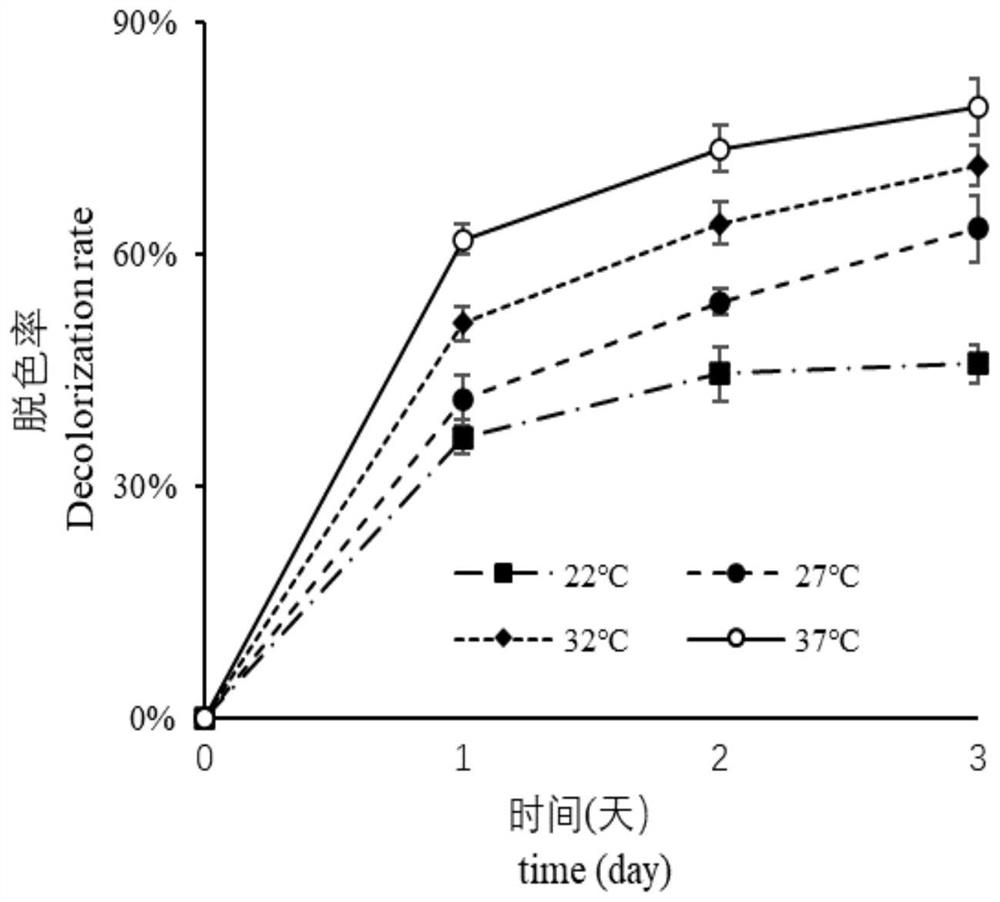 Microbial method capable of efficiently decolorizing gentian violet in dye wastewater