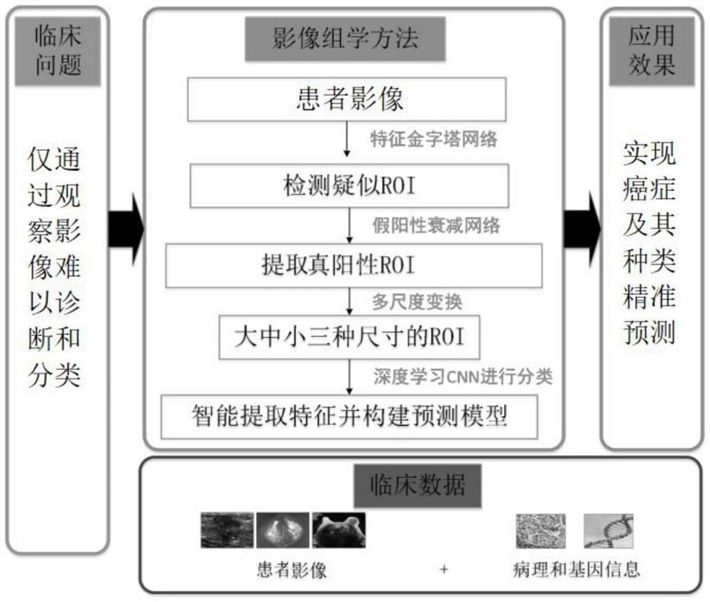 Multi-modal image analysis method and system for cancer diagnosis