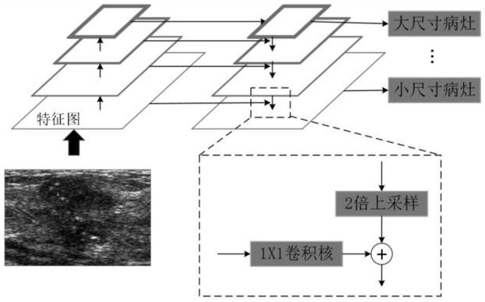 Multi-modal image analysis method and system for cancer diagnosis