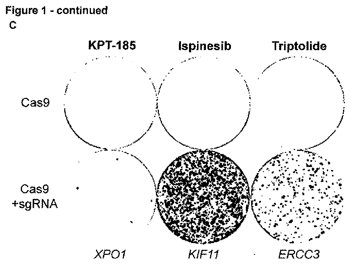 Drug-target identification by rapid selection of drug resistance mutations