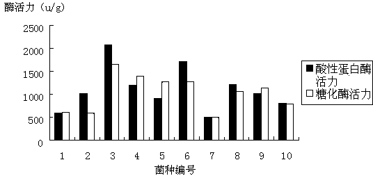 Feed enzymic preparation prepared by using soy sauce residues and preparation method of feed enzymic preparation