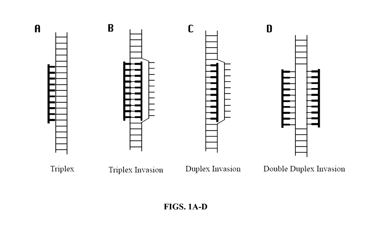 Methods and compositions for genomic target enrichment and selective DNA sequencing