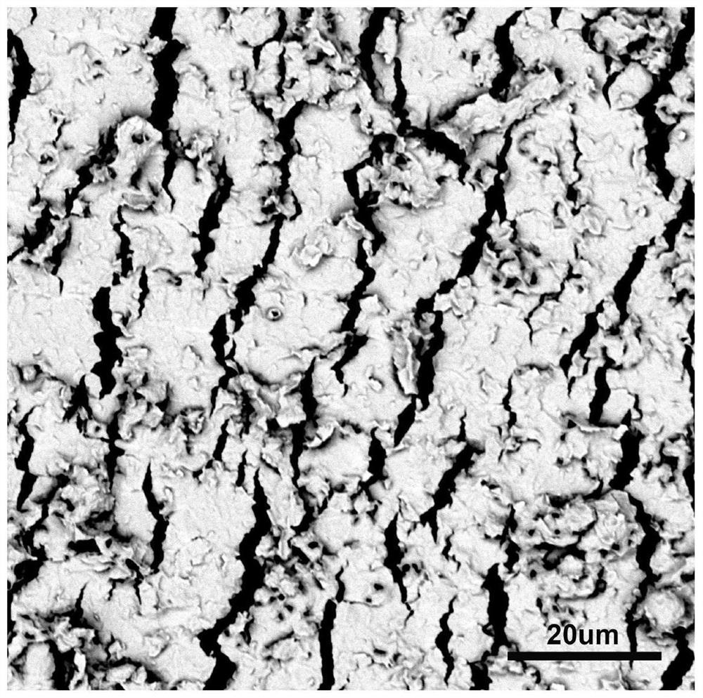 Crack flexible strain sensor based on graphene-gold composite film and preparation method