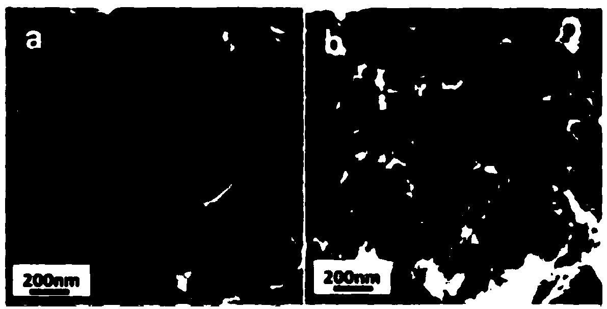 Preparation method and application of carbon-based supercapacitor electrode material