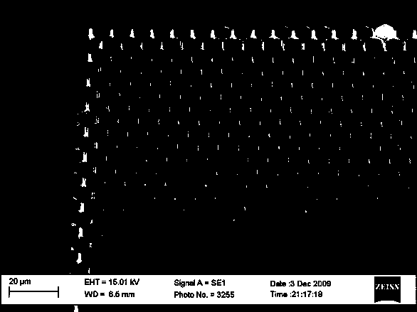 Orientated-growth latticed high-performance carbon nano-tube field emission array and preparation method