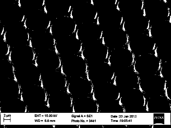 Orientated-growth latticed high-performance carbon nano-tube field emission array and preparation method