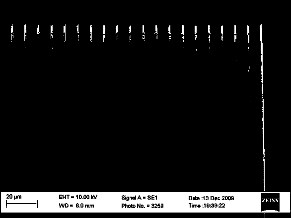 Orientated-growth latticed high-performance carbon nano-tube field emission array and preparation method