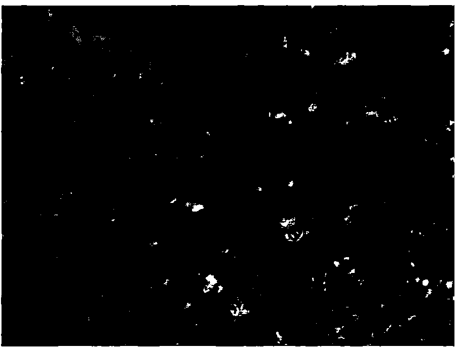 Rapid neuron staining method based on Golgi silver staining method