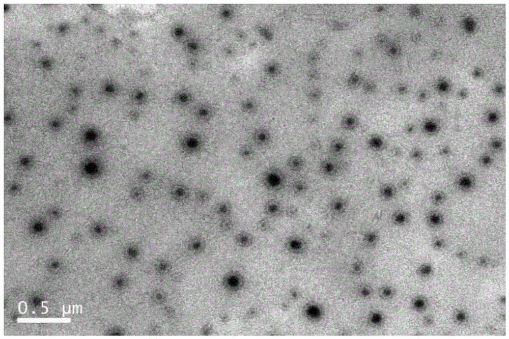 Curcumin composite particle and preparation method and application thereof