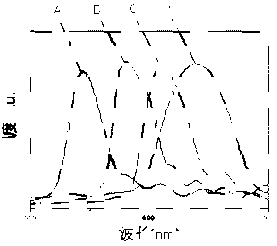 Method for preparing shell fluorescent microsphere