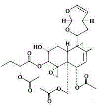 Pharmaceutical composition for treating angina pectoris and preparation method of pharmaceutical composition