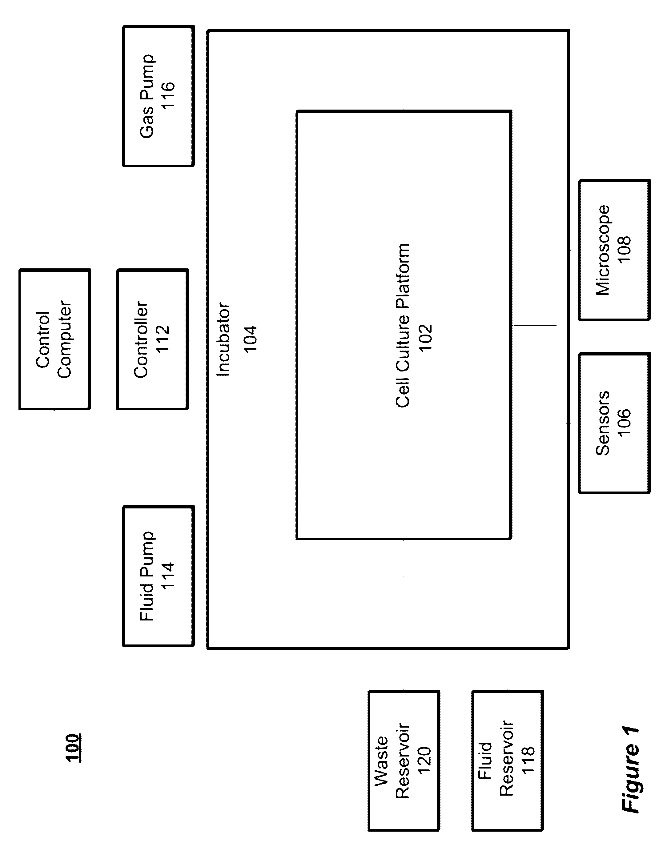 Modular platform for multi-tissue integrated cell culture