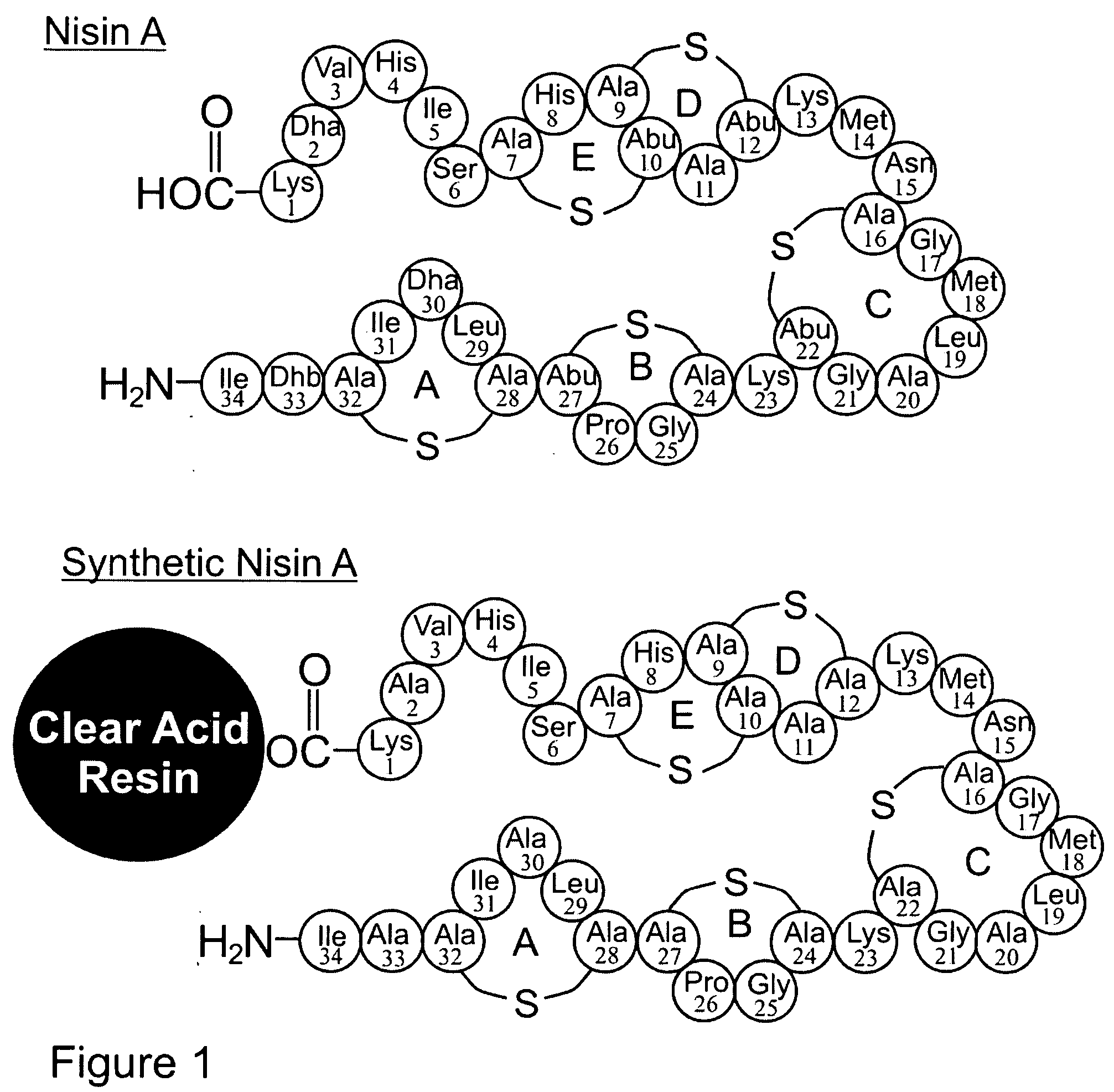 Differentially protected orthogonal lanthionine technology