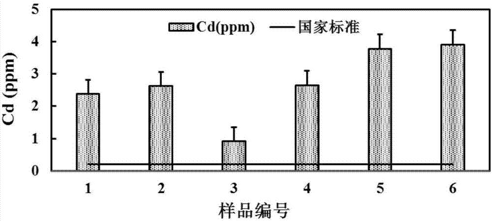 Method for measuring cadmium isotope ratio in rice by using multi-receiving inductance coupling plasma mass spectrum