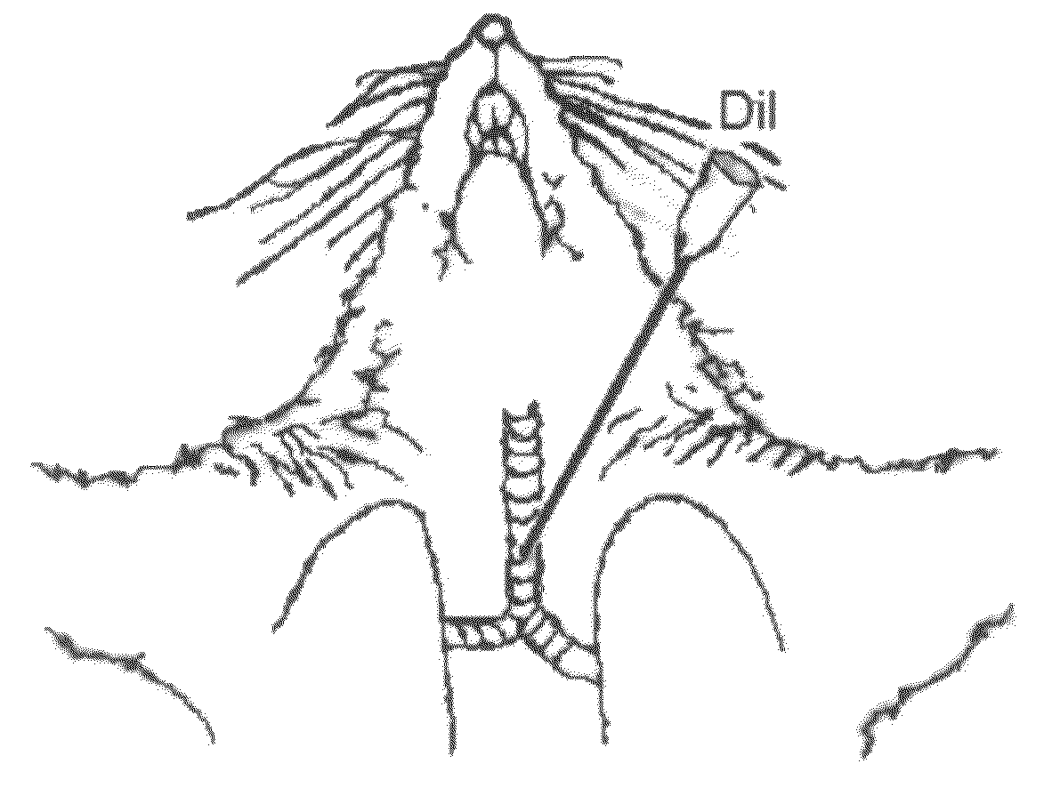 Methods and Systems for Treating Asthma and Other Respiratory Diseases